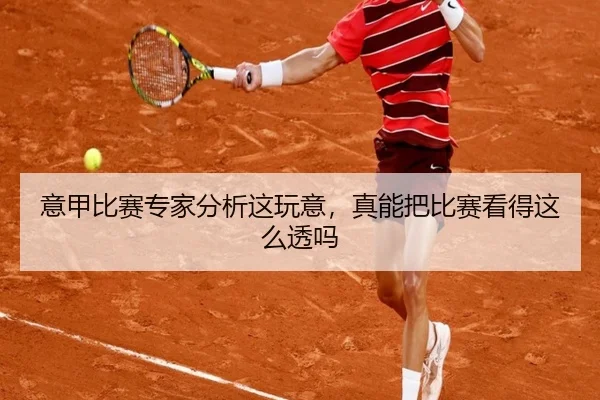 意甲比赛专家分析这玩意，真能把比赛看得这么透吗